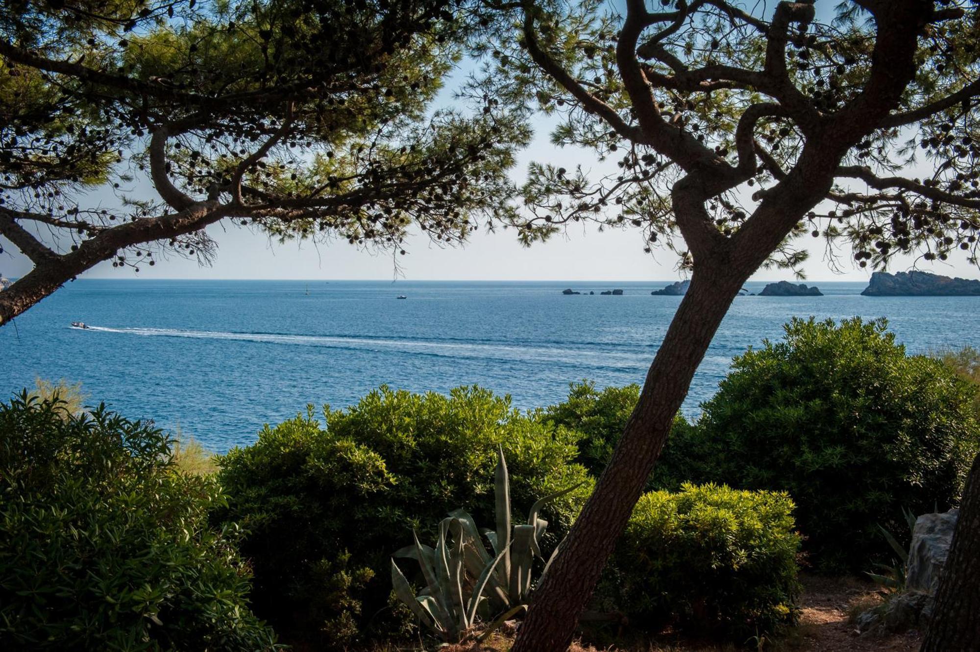 Royal Princess Hotel Dubrovnik Ngoại thất bức ảnh View of the sea from the park